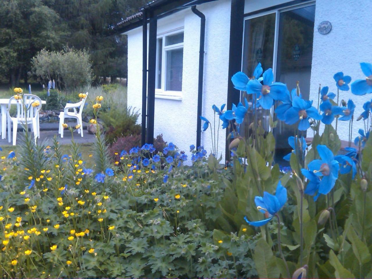 Dalkell Cottages Tyndrum Eksteriør bilde